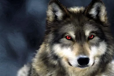 Wallpapers De Lobos   1024x768 :: Fundos De Ecrã