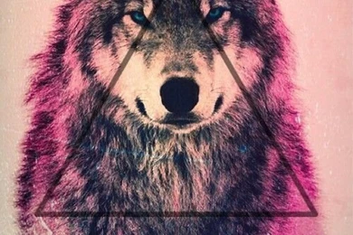 Backgrounds On Pinterest