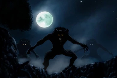 De Perros Lobos Lobo Siberiano Cachorros Espectaculares 100 ...