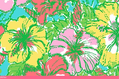 An Unofficial Collection Of Lilly Pulitzer Prints
