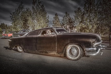 Dogs Gangster Dog Cute Puppys Sweet Animal Dogs Beautiful Lovely ...