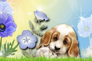 Wallpapers Fluffy Unicorn Hd Puppy Love 1920x1080