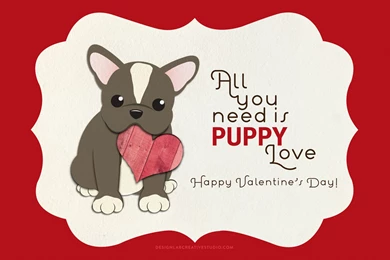 The Labs & Co. » Three LOVEly New Products From Design Lab