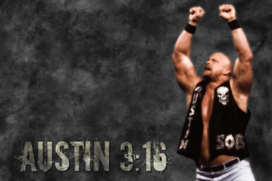 Stone Cold Steve Austin wwe 536739_1024_768 AMB.jpg