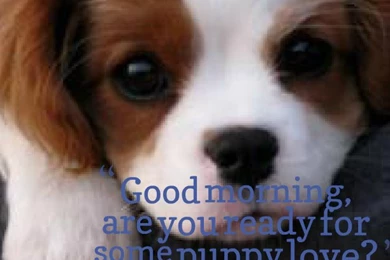 15537 good morning are you ready for some puppy love1.png