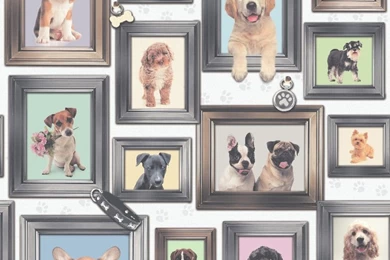 Rasch Puppy Love Wallpapers In Multi Coloured   272703