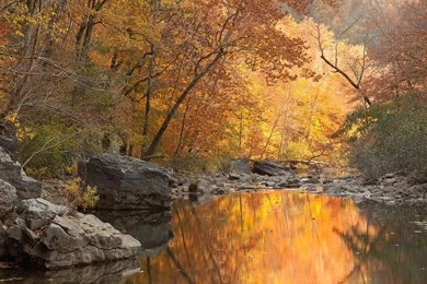 ArkansasWallpapers_FallAlongTheOzarkHighlandsTrail_preview.jpg