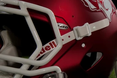 iPhone 5   Arkansas Razorback Backgrounds   Hog Database