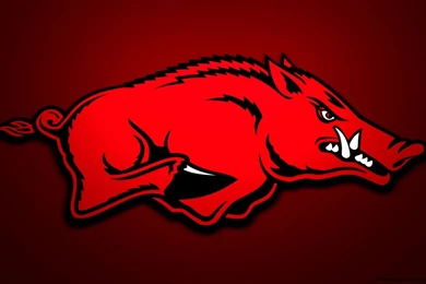 Razorback Wallpapers Free Wallpapers Hd Arkansas Razorbacks ...