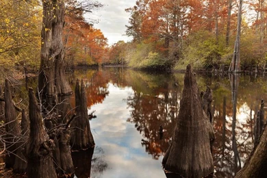 Arkansas Wallpapers   Evening At Apple Lake
