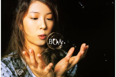BOA Wallpapers