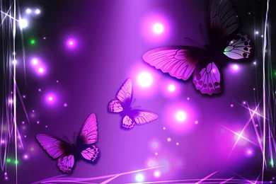 Light Purple Wallpapers   Color Wallpapers
