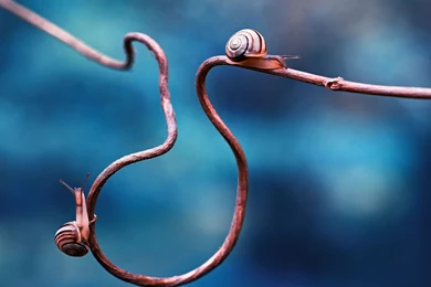 2015 09 23   Page 128