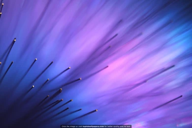 Purple Light Aurora 4K Or HD Wallpapers For Your PC, Mac Or Mobile ...