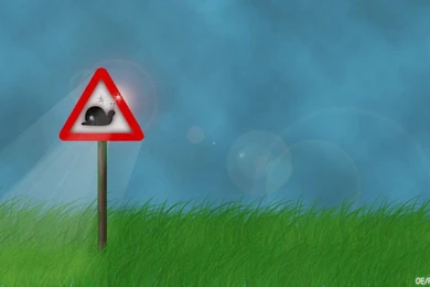 Lonely Snail Wallpapers By PodgeyPanda On DeviantArt