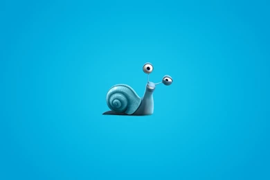 Snail Computer Wallpapers, Desktop Backgrounds