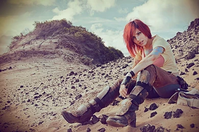 Women Nature Cosplay Borderlands 2 Game Wallpapers