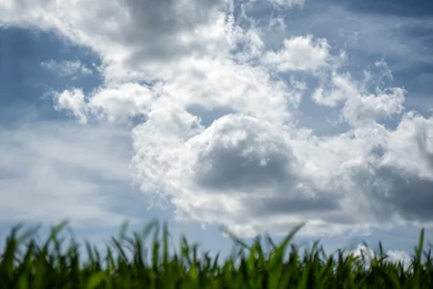 Nature wallpaper hd free download.jpg