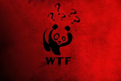 1366x768 Panda, China, Red, Wtf, Question Mark, Winnie The Pooh ...