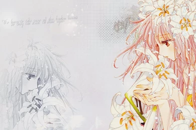Kobato Wallpapers By Kamii Indiscreet On DeviantArt