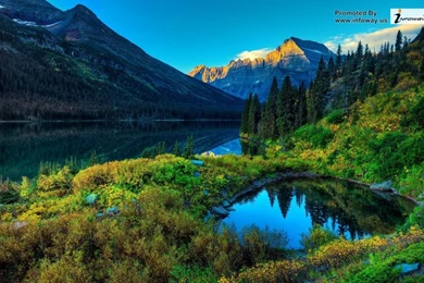 Beautiful Summer Scenery   Photo 232 Of 413