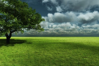 1920x1080 Beautiful Spring Scenery Desktop PC And Mac Wallpapers