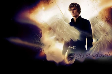 DeviantArt: More Like Jace Wayland By Leesa M