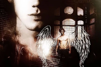Jace Wayland Wallpapers 1 By Mia47 On DeviantArt
