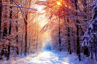 Full HD Wallpapers + Blue, Nature, Red, By Sven Muller, Roads ...