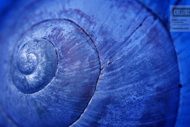 Free Desktop, iPad And iPhone Wallpapers From Crestock – Week 30 ...