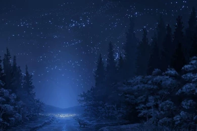 Blue Forest Night HD Desktop Wallpapers : Widescreen : High ...