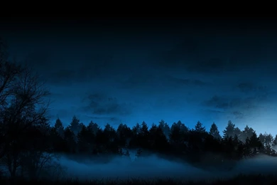 Trees Forest Night Fog Mist Blue CG Sky Wallpapers