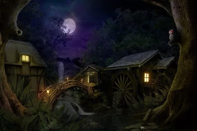 Forest Cottage At Night