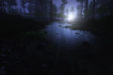 Stream In The Forest At Night Wallpapers And Images   Wallpapers ...