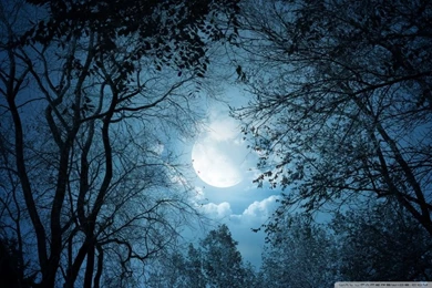 Full Moon Night HD Desktop Wallpapers : Mobile : Dual Monitor