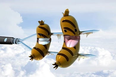 Free Download Wallpapers HD : Fantastic Funny High Resolution Hd ...