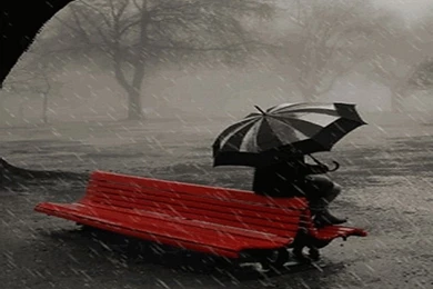 Wallpapers Sad Rain For Your Pictures Photos 1024x768