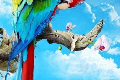 20 Best Creative, Beautiful & Colorful iPhone Wallpapers & Backgrounds