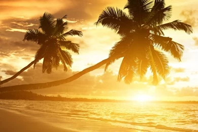 Amazing HD Desktop Wallpapers : High Definition : Fullscreen ...