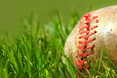 Download Baseball Wallpapers 1920x1080