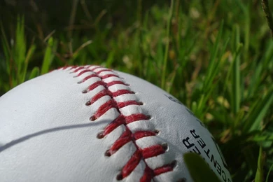 File:Baseball Showing Stitching On Grass.jpg   Wikimedia Commons