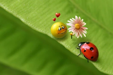 Naughty Wallpapers   Wallpapers Cave