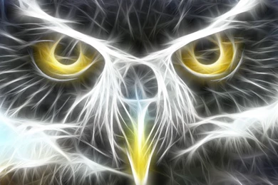 Animals Cool Wallpapers HD   CuteWallpaper.org