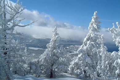 Wallpapers   Black Bear Inn   South Lake Tahoe Lodge