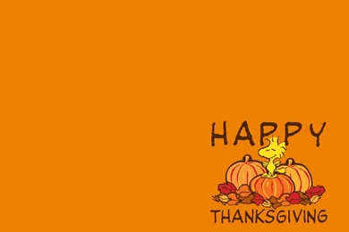 Thanksgiving Day 2012: Free HD Thanksgiving Wallpapers For iPad ...