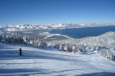 Secret Beach Lake Tahoe   Wallpaper.