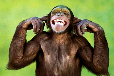 Funny Facebook Amazing Wallpapers Free Download (4)   Fun Nine