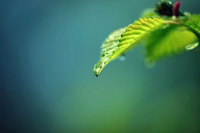 Hd Abstract Wallpaper, Desktop Artworks, Colors, Paints ...