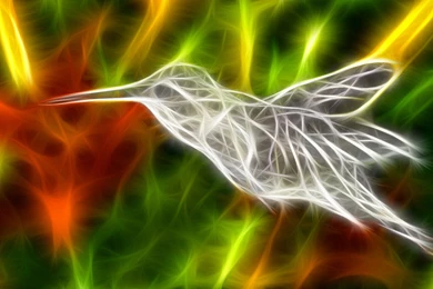 Download Cool Animal Wallpapers For Android