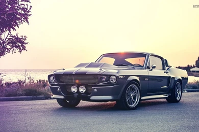 Ford Mustang 1967 Eleanor   Image